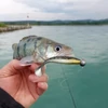 Kép 5/11 - Reiva Ultra Strong Jig Head 2-7g  4db/cs - Többféle