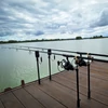 Kép 3/6 - Black Carp leszúró nyél  XL 2rész  30-50cm - Többféle