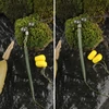 Kép 5/9 - Forgó gyorskapoccsal 5+5db/cs L - Többféle