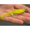 Kép 10/11 - Reiva Offset Worm 1-es  5db/cs - Többféle