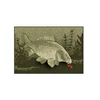 Kép 1/2 - Szőnyeg Delphin CatchME! Ponty