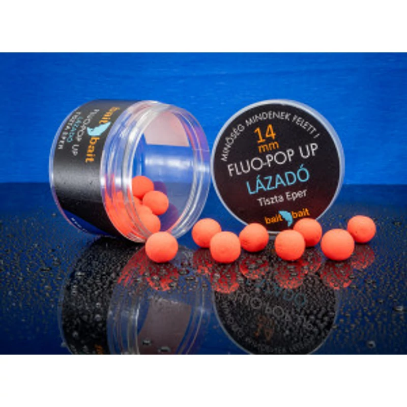 Lázadó - Fluo Pop Up