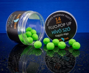 Hívó Szó - Fluo Pop Up