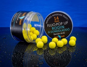 Rodin - Fluo Pop Up