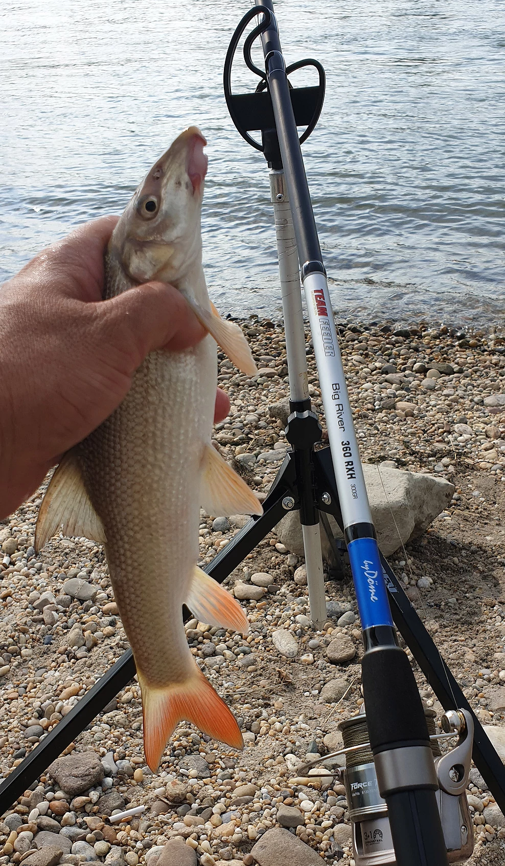 By Döme TF Big River 300 RXH 100-250g - Többféle