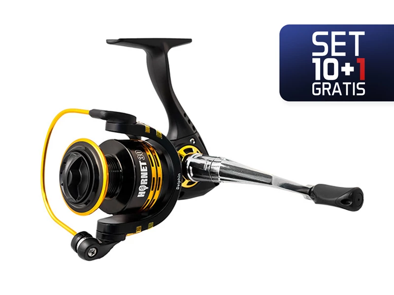 10+1 - Delphin HORNET 50 / 3+1